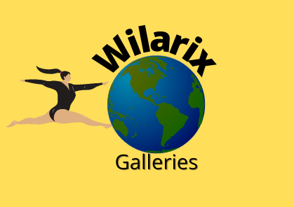 galleries wilarix